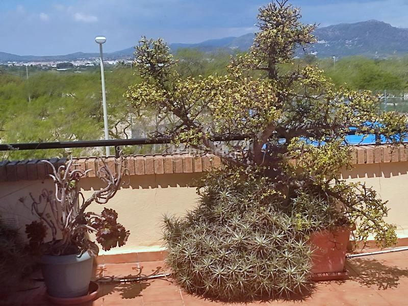 Foto 47c0e077-902e-48e7-b1c3-1b771f99582c. Alquiler casa adosada alquiler adosado en playa de puzol en Puçol