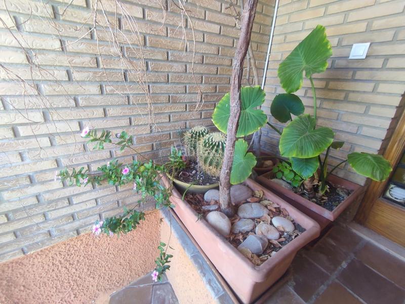 Foto 5930ba5b-c00e-4578-a251-7dc96fd5cff4. Alquiler casa adosada alquiler adosado en playa de puzol en Puçol