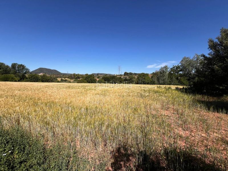 Foto 2a597606-7358-4f57-a23b-71ec67c2e7bb. Finca rústica a Barri Mion - Puigberenguer Manresa