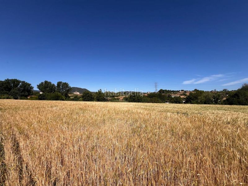Foto 5ad56c1c-fe9f-4ede-b35e-19b5bb1601d6. Finca rústica a Barri Mion - Puigberenguer Manresa