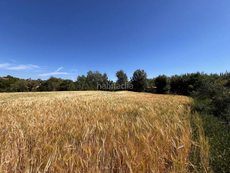Foto d2bf98f3-7f9a-4e9f-9dd0-e9b6ccf0e809. Finca rústica a Barri Mion - Puigberenguer Manresa