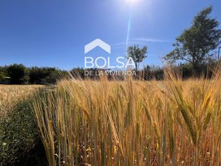 Finca rústica en Barri Mion - Puigberenguer