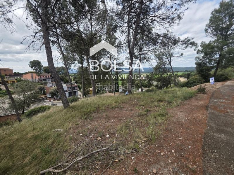 Foto 13cca7ea-42a2-4a5a-bde7-bddadf25f4d8. Finca rústica a Santpedor
