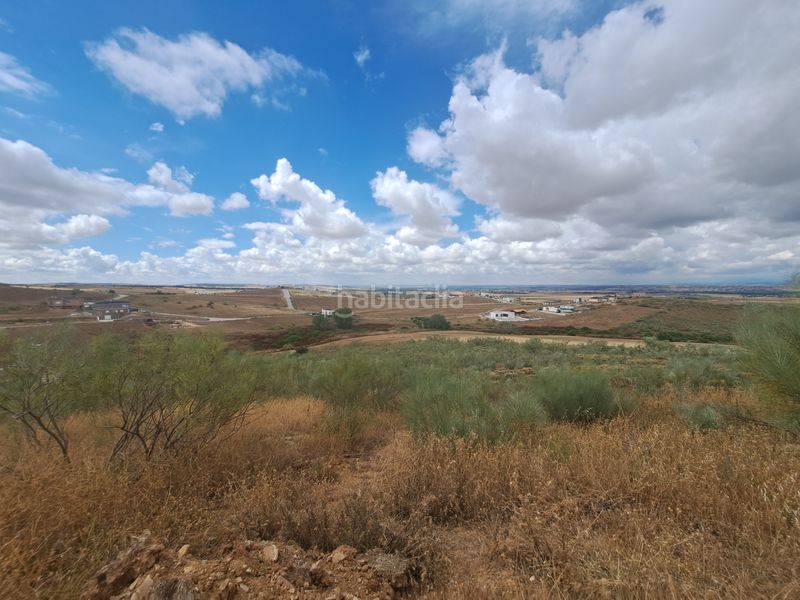 Foto 9caaedbc-f920-4ad2-8c89-91072220a25c. Terreny residencial a calle isla de cerde?a 1 a Casar (El)
