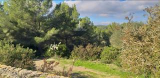 Masia a Roca Llisa. Finca  payesa en venta en roca llisa, santa eulalia del río