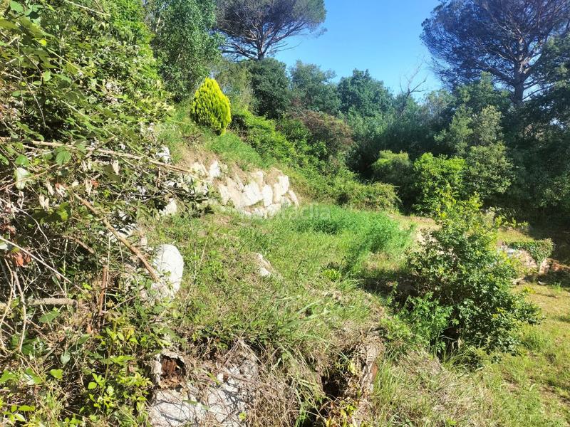 Foto d99175c0-2c7e-42a0-832c-db07eb69779f. Terreno residenziale in Riells i Viabrea