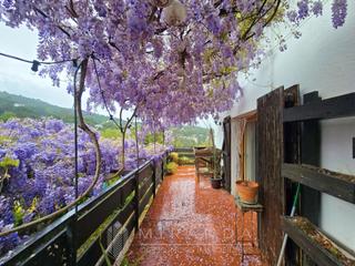 House in Vallgorguina