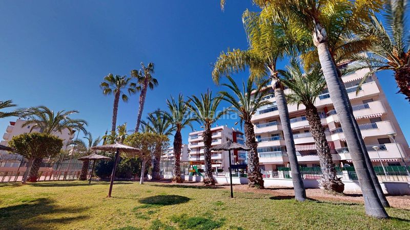 Foto 0a49d421-7f20-48c2-8fc2-891597586f9c. Affitto piccolo appartamento in calle gran vía 9 in Elche / Elx