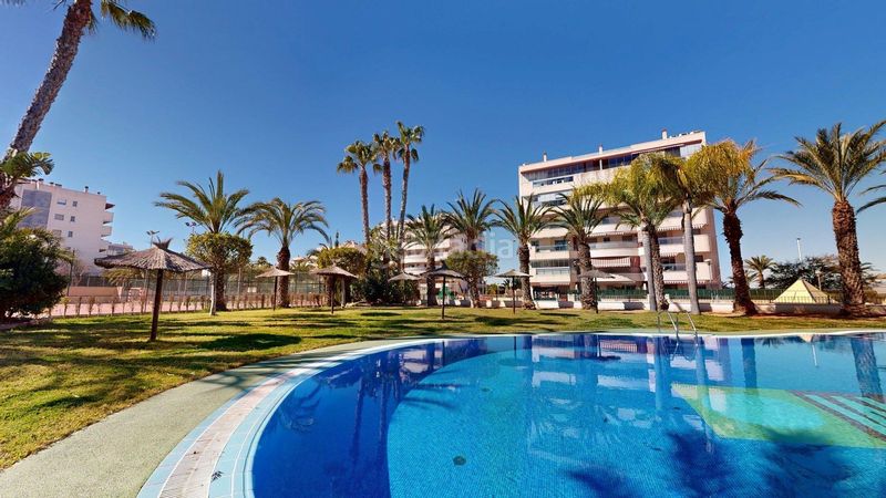 Foto a78366b3-d894-4a64-8ff6-560911621cc5. Affitto piccolo appartamento in calle gran vía 9 in Elche / Elx