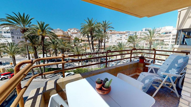 Foto 07145b20-0e69-4834-9968-ef369eeae870. Affitto piccolo appartamento in avenida de san bartolomé de tirajana 51 in Elche / Elx