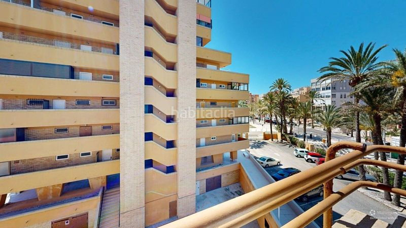 Foto b61841c2-af5d-43d5-8a72-2e9c8dc87568. Affitto piccolo appartamento in avenida de san bartolomé de tirajana 51 in Elche / Elx