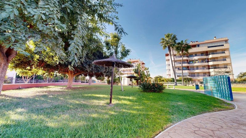 Foto 6a907ede-dd47-48b6-b026-76d8d6c9b970. Affitto piccolo appartamento in calle gran vía 19 in Elche / Elx