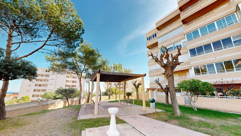 Foto 07039e0f-ef4c-400f-9260-d56c124feef9. Affitto piccolo appartamento con parcheggio piscina in Elche / Elx