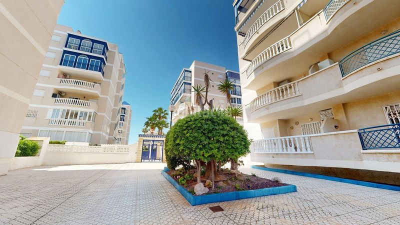 Foto 31a1afbf-5388-4163-9aee-6fb512eb56c8. Location appartement dans calle costa blanca 19 dans Elche / Elx