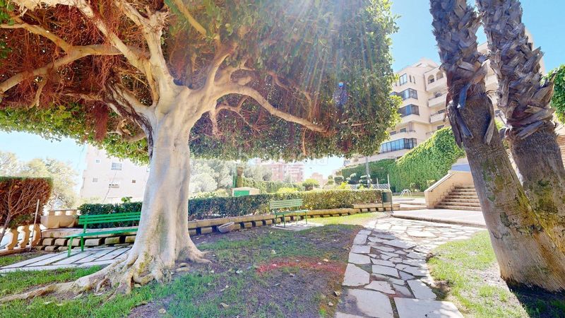 Foto 4c8740ef-82a7-47d0-8510-a0760adc632b. Location appartement dans calle ifach 2 dans Los Arenales del Sol Elche / Elx