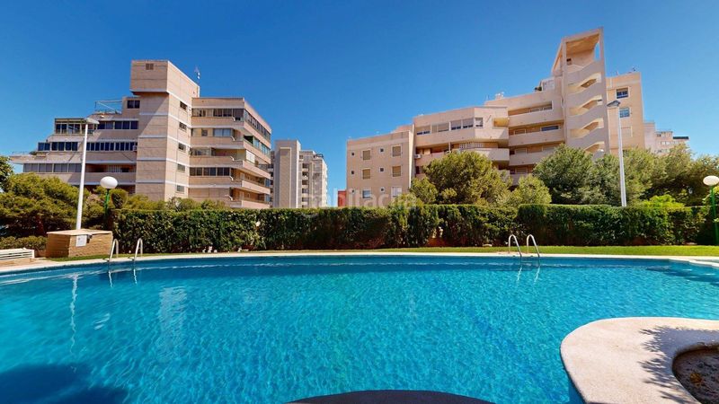 Foto bfd76672-4387-4044-9f80-f44583983926. Location appartement dans calle ifach 2 dans Los Arenales del Sol Elche / Elx