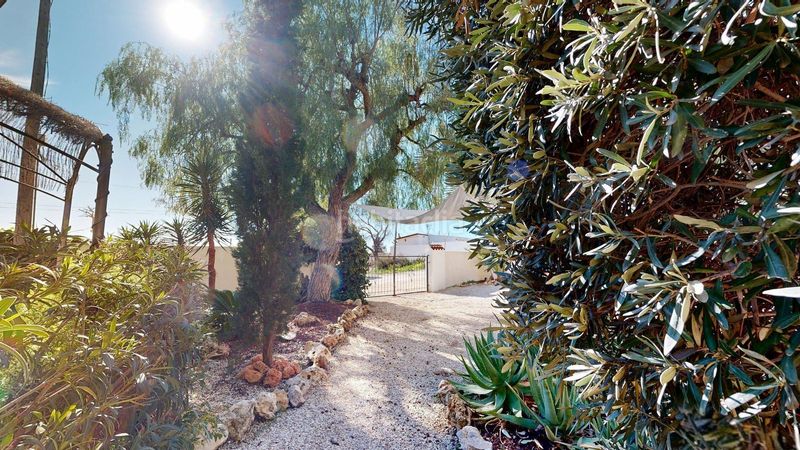 Foto 06cbcbd3-ff45-484a-a1a5-8240ac69343c. Xalet amb piscina a Campello Pueblo Campello (el)
