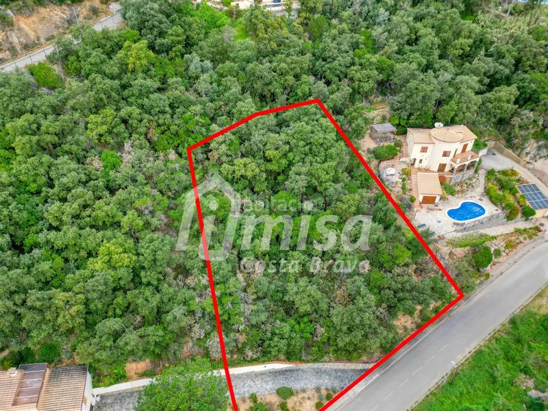 Foto ccdd3d12-af55-4ac7-b777-9a7c8ce212ae. Terreny residencial a calle de parís 3 a Cabanyes-Mas Ambrós-Mas Pallí Calonge