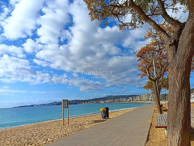 Foto 745529b0-01dd-4289-a156-d7644b92e2d0. Piccolo appartamento in Sant Joan - Vilarromà Palamós