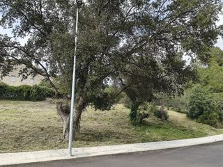 Terreny residencial a Avenida la Manxa