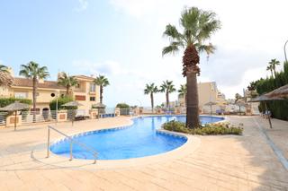 Apartament  N/a