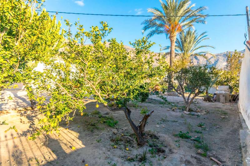 Foto fd6379f8-8ea5-425c-ab72-1bf4e31f6e93. Bauernhof mit parking in Montepinar - La Aparecida - Raiguero Orihuela