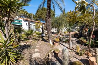 Chalet in Lomas de Cabo Roig - Los Dolses