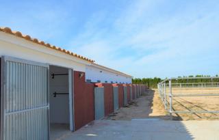 Masia  N/a