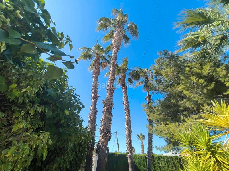 Foto 2b0f03fc-059b-4dad-b38a-453f261833dc. Xalet amb calefacció aparcament piscina a Zona Carrefour - Urbanizaciones Torrevieja