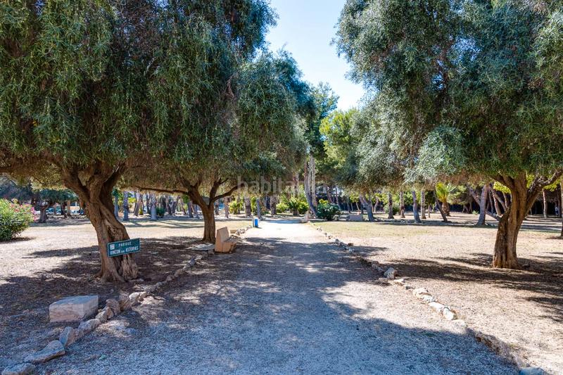 Foto dc5422fe-9883-41d5-b245-3f2e58209571. Estudio en El Acequión Torrevieja