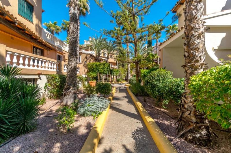 Foto 924ba06c-68e2-43e3-b054-a42847994fa9. Apartamento en Zona Playa de los Locos Torrevieja