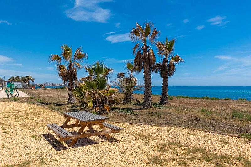 Foto 5d9fd80a-37ab-485b-a6e8-d9777f00eb90. Xalet amb calefacció aparcament piscina a La Veleta Torrevieja