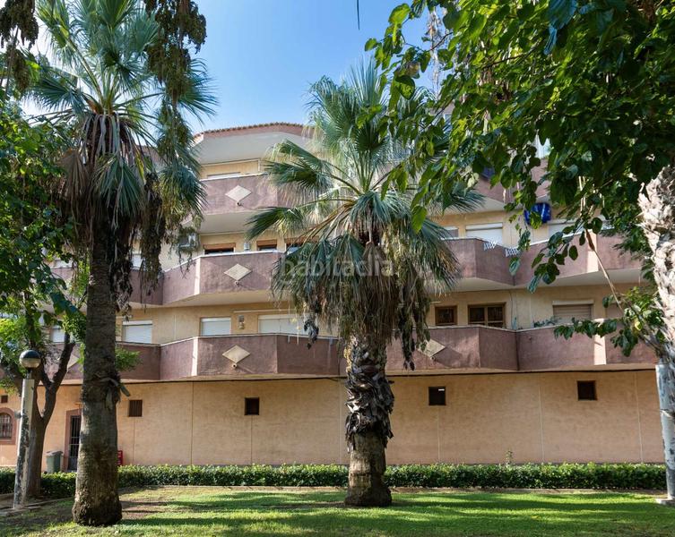 Foto 49daef89-0104-40db-b514-b279c5f98afb. Apartamento en La Regia Orihuela