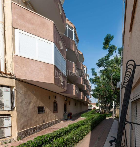 Foto c90b9976-5f3d-4461-b146-51eb98124737. Piccolo appartamento con riscaldamento in La Regia Orihuela