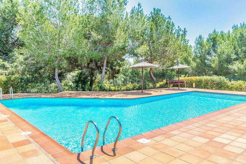 Foto dd7e3e7c-7396-4d3f-98e8-ffda9fc04618. Apartament amb calefacció aparcament piscina a Lomas de Campoamor - Las Ramblas Orihuela