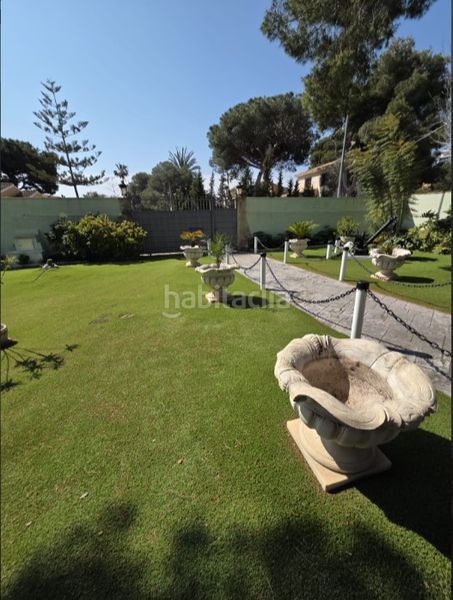 Foto e97be46c-fb79-4540-8292-2bf913afbd0b. Xalet amb calefacció aparcament piscina a Campoamor Orihuela