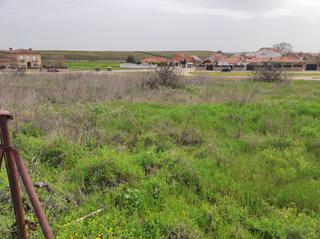 Terreny residencial en lamo (El). Terreno urbano sin urbanizar