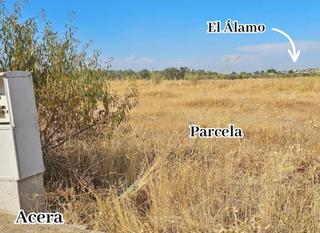 Terreny residencial en lamo (El). Venta de parcela urbana de mas de 9000m2