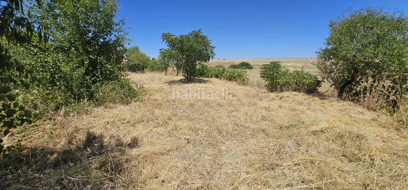 Foto f89a1c97-b86e-4a77-933f-c6db527e2240. Terreny residencial a Álamo (El)
