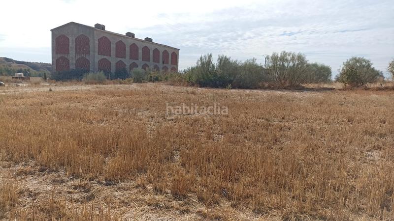 Foto 3199c599-b9c1-42f7-9e7a-c71b2f4dd987. Finca rústica finca rustica agraria en Casarrubios del Monte