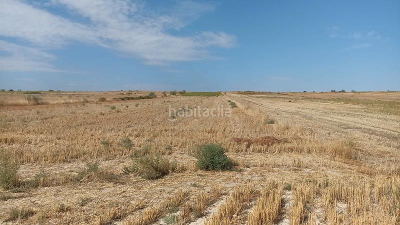 Foto 46c5e5a2-d62b-4cc9-8bbd-90614b7257de. Finca rústica finca rustica agraria en Casarrubios del Monte