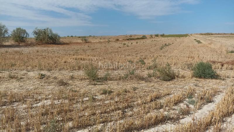 Foto 624e3df0-e5b8-46f3-9f6a-88e8c277f0ba. Finca rústica finca rustica agraria en Casarrubios del Monte