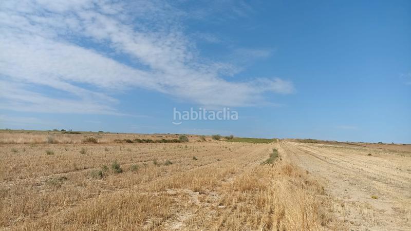 Foto 76f83f24-1ee8-4fca-8652-f8a585eb4a5f. Finca rústica finca rustica agraria en Casarrubios del Monte