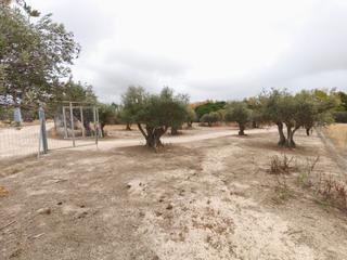 Landgut en Carranque. Finca rustica en carranque