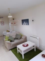 Lloguer Apartament en Calle de jos� mar�a de pereda 20. Apartamento de 1 dormitorio con mirador