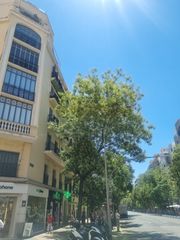 Lloguer Pis a Calle del conde de peñalver 28. Piso barrio salamanca