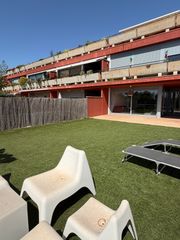 Planta baixa a Ciutadella