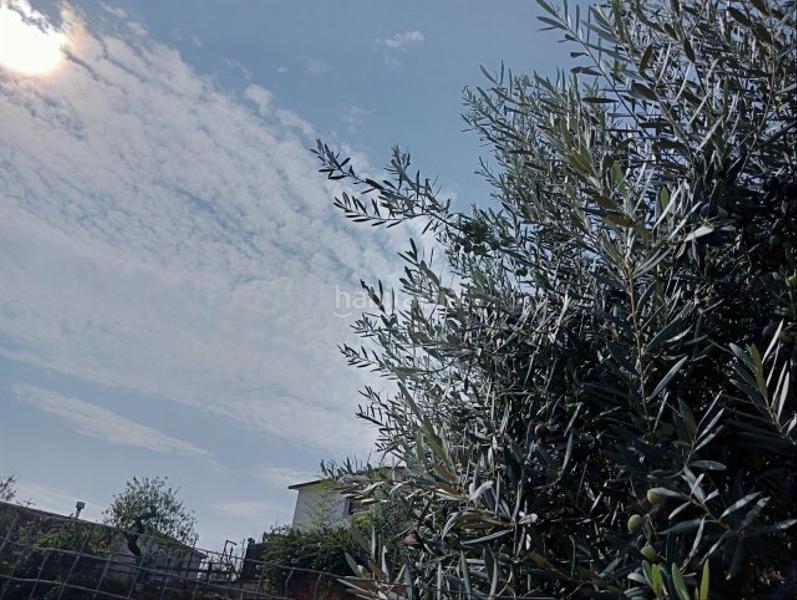 Foto 2889bb3d-7163-4f36-ac36-2a44036527e3. Terreno residenziale in La plana Esparreguera