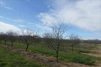 Foto 1cbcd278-bdee-4cd8-bad1-41296bcf04c3. Terreno residenziale in calvari in Benissanet