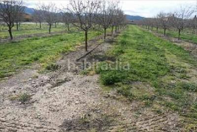 Foto 3381bfad-8b3b-4589-9425-10a4496aa213. Terreno residenziale in calvari in Benissanet